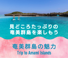 見どころたっぷりの奄美群島を楽しもう 奄美群島の魅力 Trip to Amami islands